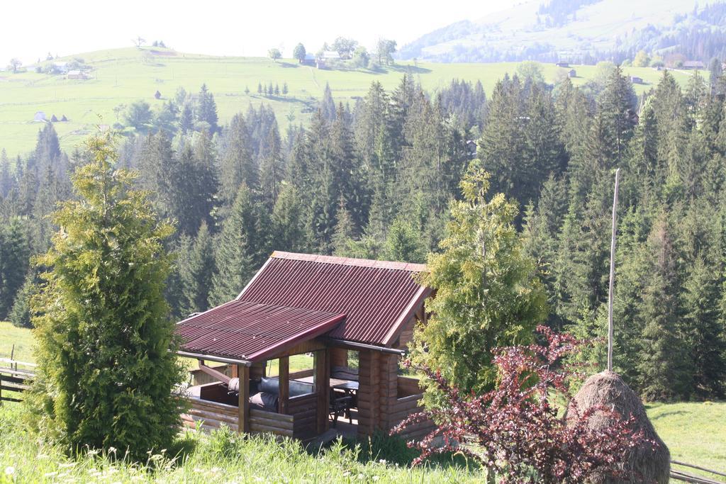 Polonyna Villa Verkhovyna Eksteriør billede