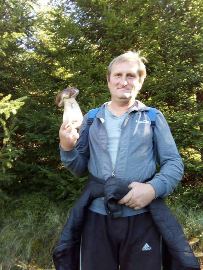 Polonyna Villa Verkhovyna Eksteriør billede