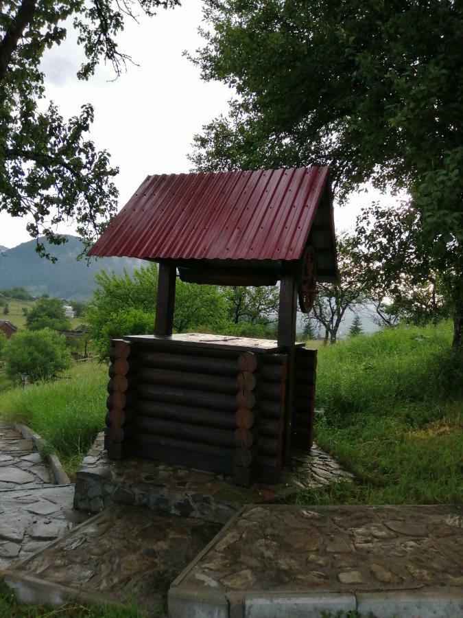 Polonyna Villa Verkhovyna Eksteriør billede